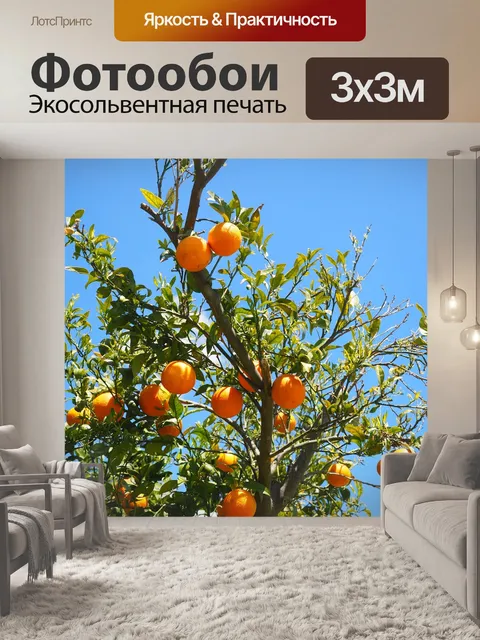 Фотообои Апельсины