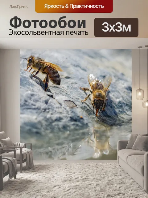 Фотообои Пчела