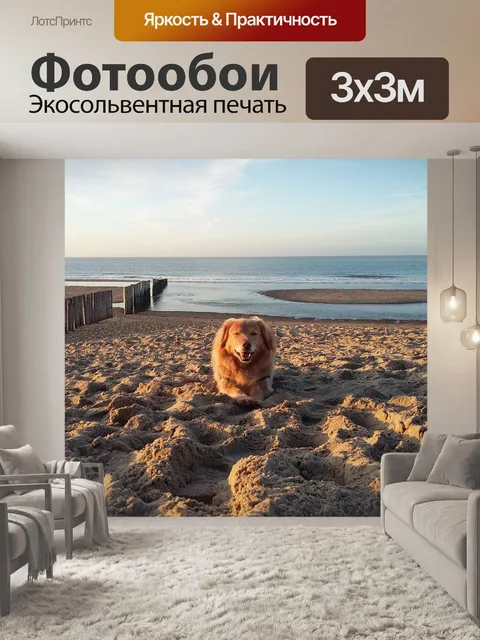 Фотообои Собака