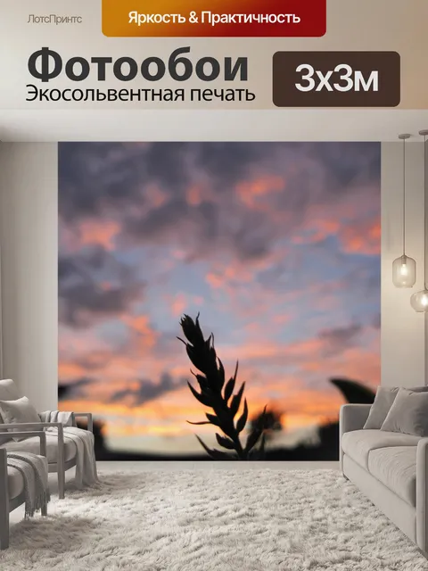 Фотообои веточка с листьями против закат