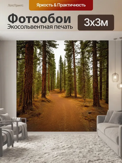 Фотообои коричневый еловый лес с тропинками, проложенными между деревьями