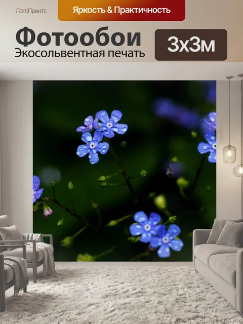 Фотообои Цветы