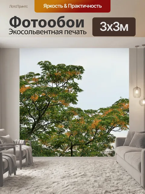 Фотообои Seringa дерево в семенах