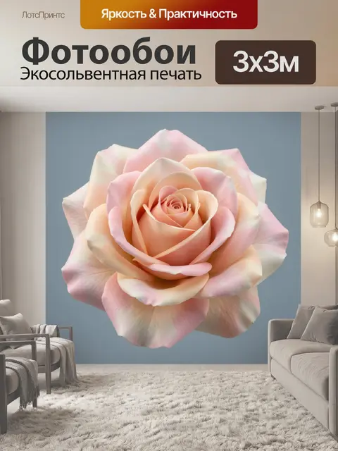 Фотообои Нежная роза на сером фоне
