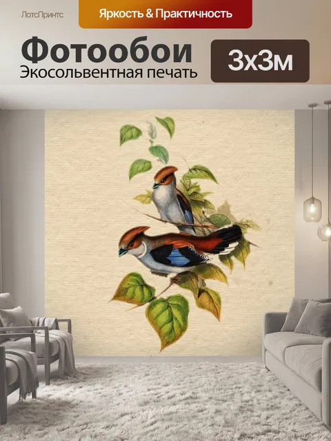 Фотообои Птица