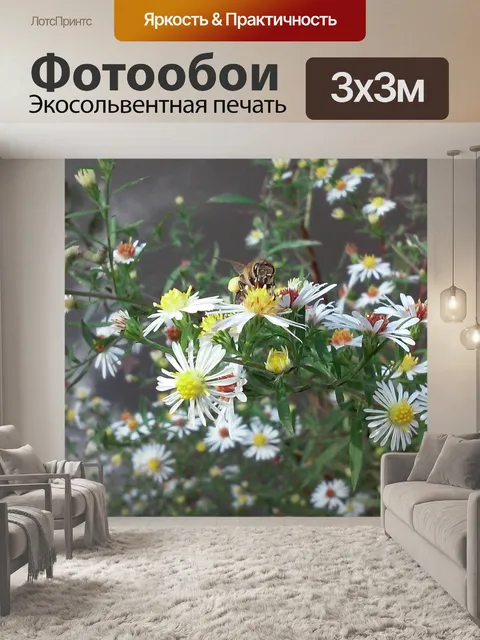 Фотообои Белый астер с пчелой