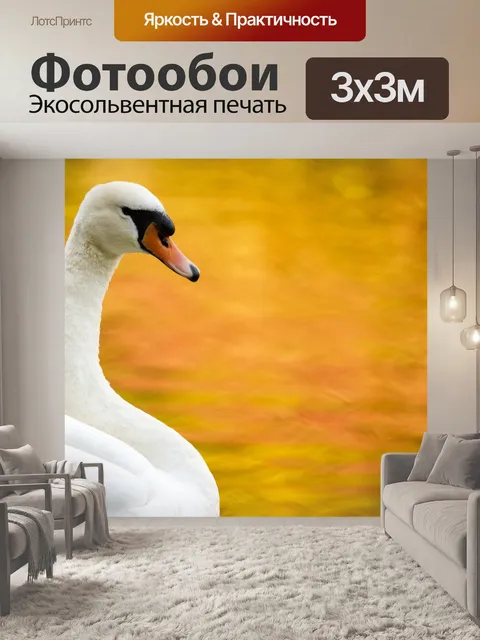 Фотообои Лебединое осенью