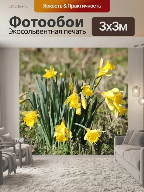 Фотообои Миниатюрные нарциссы в траве
