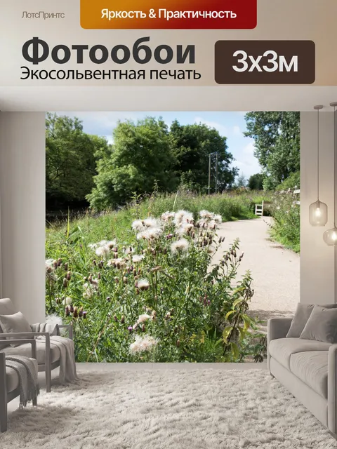 Фотообои Чертополох Вниз Тропа