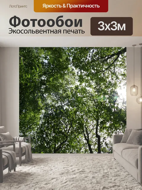 Фотообои Лес