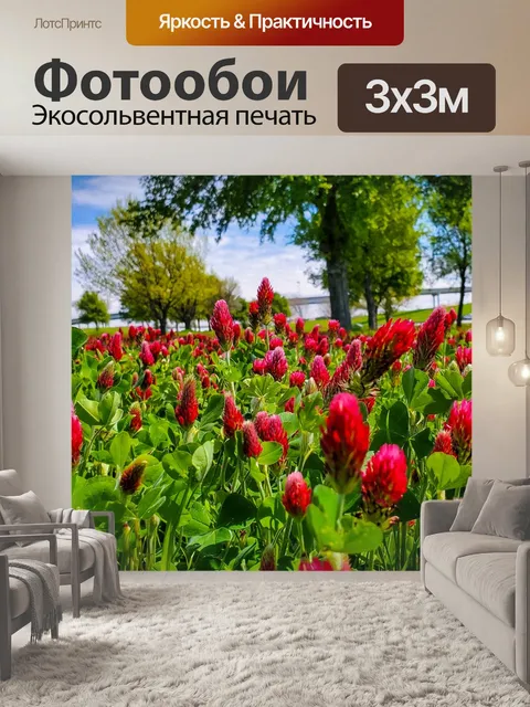Фотообои Весеннее цветение