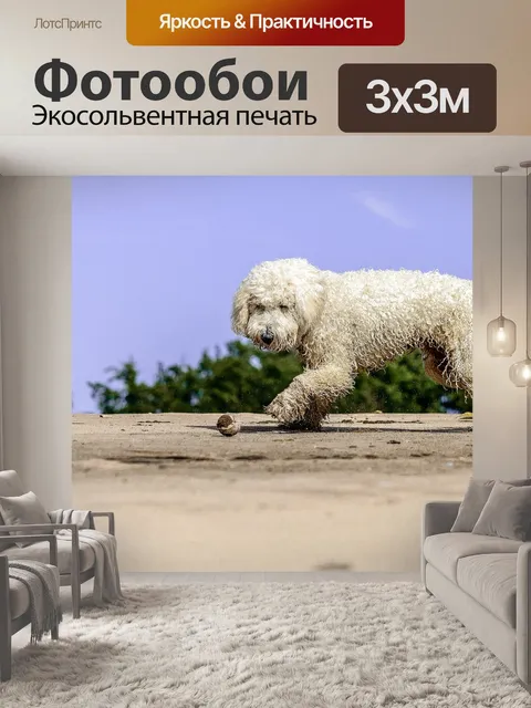 Фотообои Золотой каракули