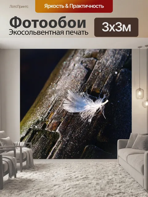 Фотообои Перо
