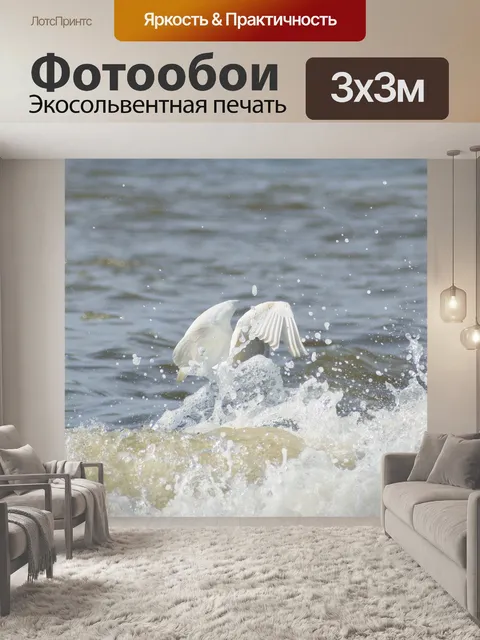 Фотообои Животное