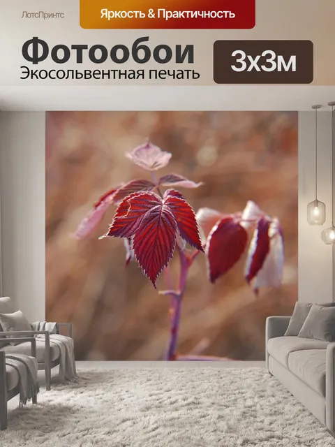 Фотообои Растение