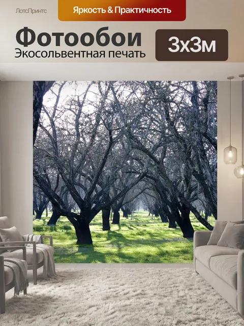 Фотообои Фруктовый сад