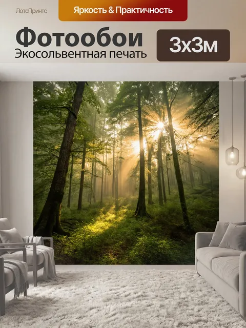 Фотообои с деревьями в старом лесу