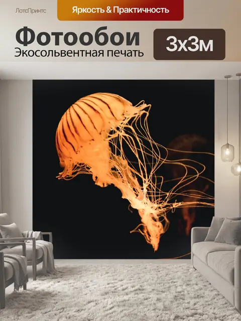 Фотообои Медуза