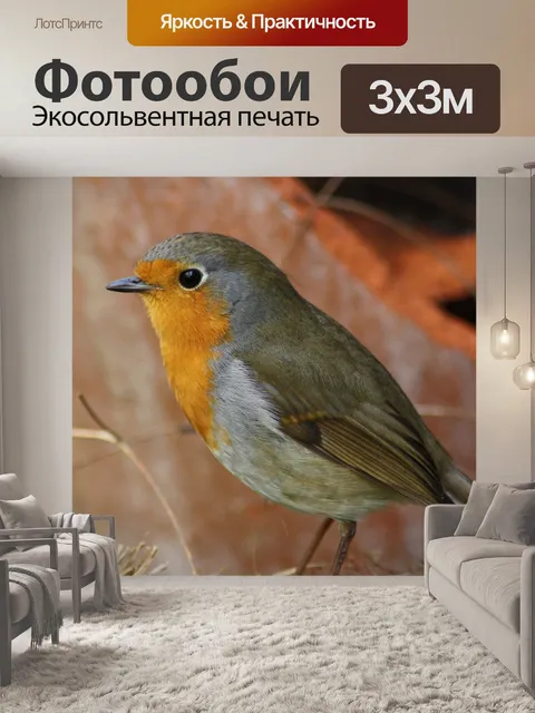 Фотообои Птица