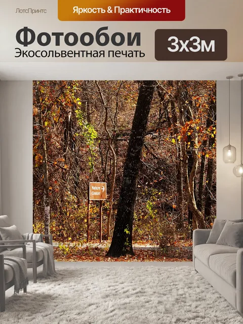 Фотообои Природный центр