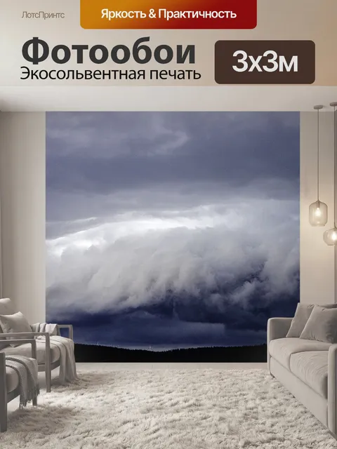 Фотообои Туча