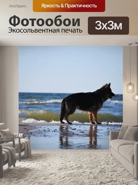 Фотообои Собака
