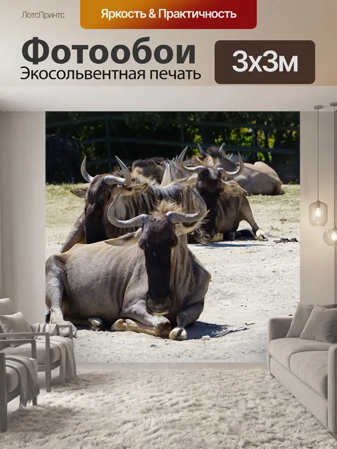 Фотообои Сафари
