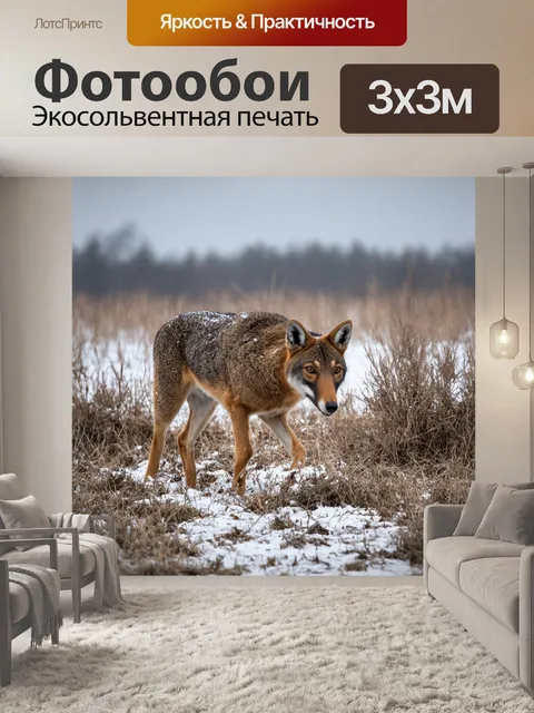 Фотообои 14