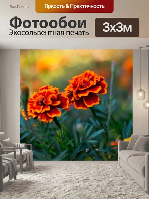 Фотообои Самый красивый цветок