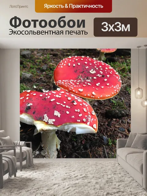 Фотообои Поганка