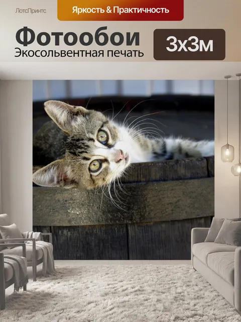 Фотообои Кошка