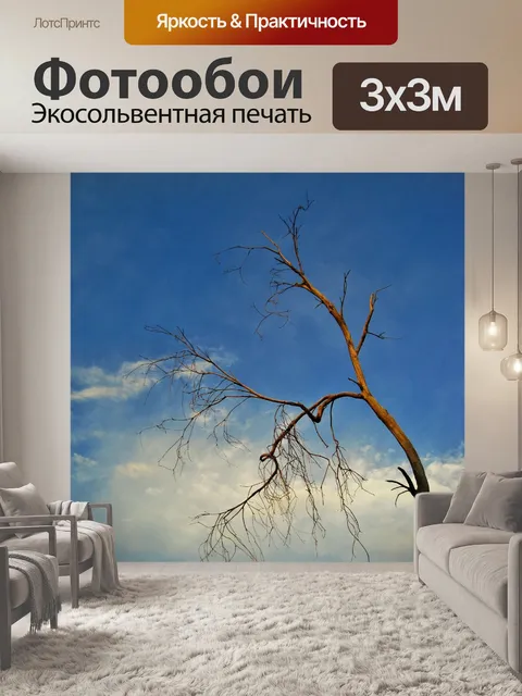 Фотообои мертвое дерево и голубое небо