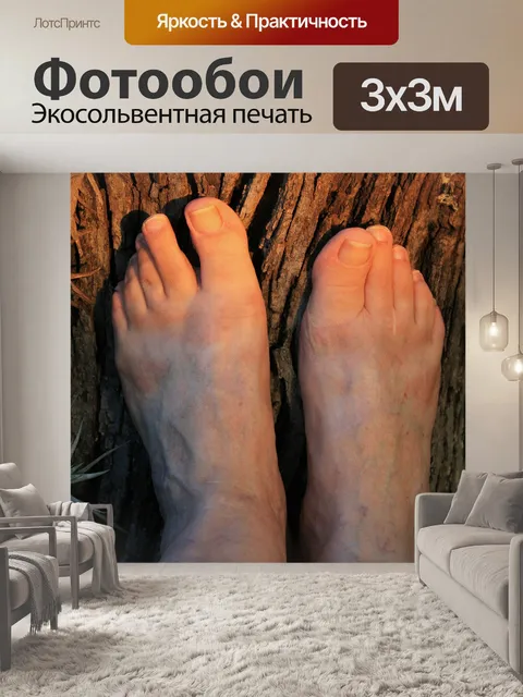 Фотообои футов в солнечном свете