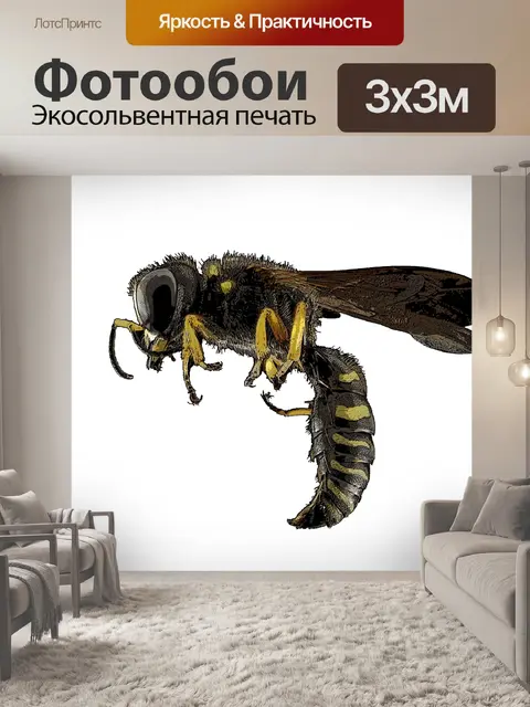 Фотообои Оса винтажный рисунок