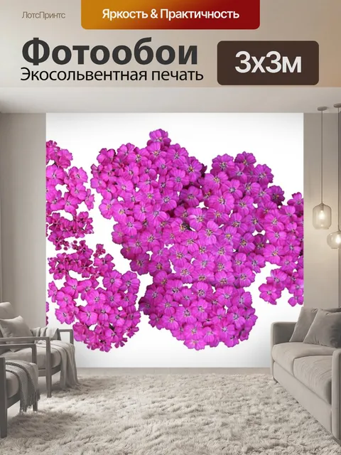 Фотообои Заголовок