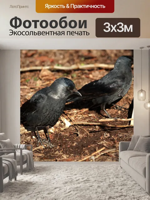 Фотообои Птицы