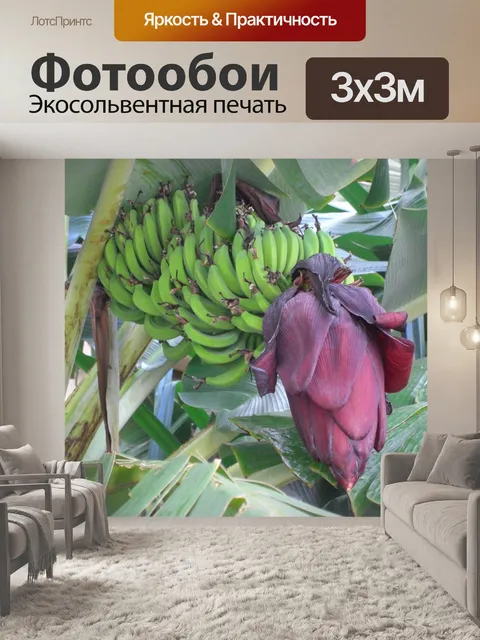 Фотообои Банан дерево