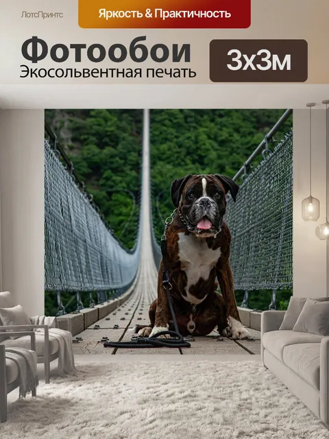 Фотообои Пешеходный мост