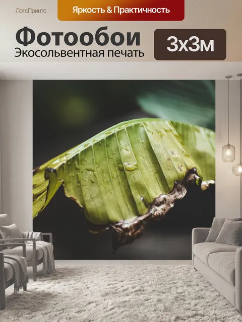 Фотообои Банановый лист