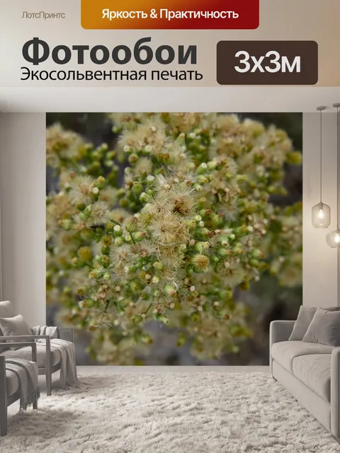 Фотообои Щеткой Цветы