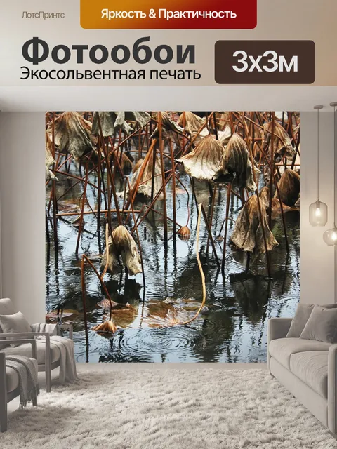 Фотообои Ссохшийся