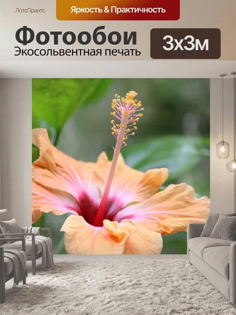 Фотообои Гибискус