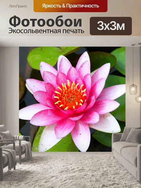 Фотообои Водяная лилия