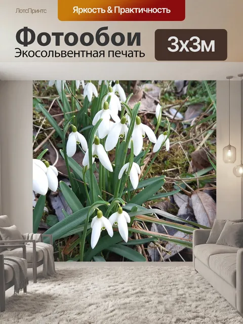 Фотообои Подснежник