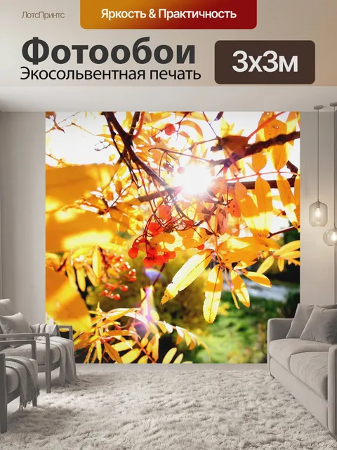 Фотообои Осень