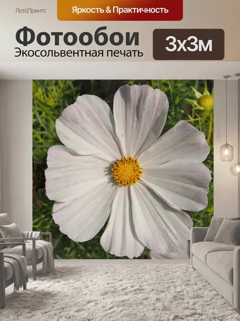 Фотообои Белый