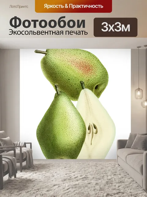 Фотообои Груша фрукты старинные иллюстрации