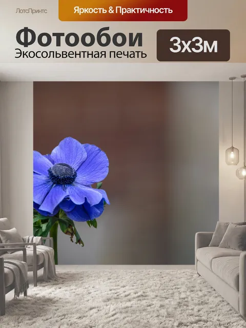 Фотообои Голубой цветок, Anemone Coronaria