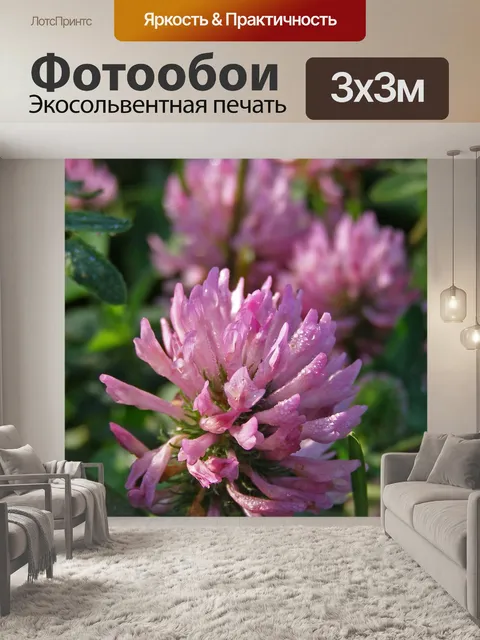 Фотообои Красный клевер