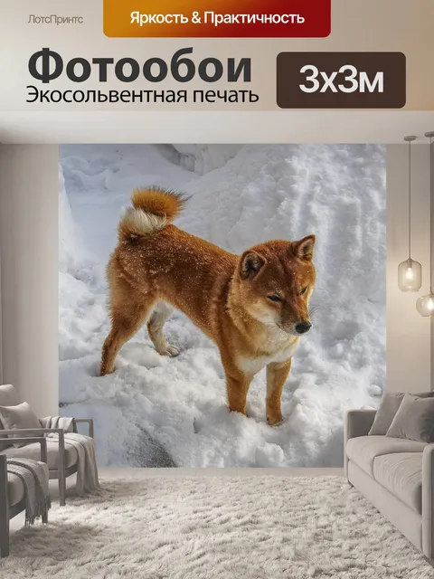 Фотообои Сиба
